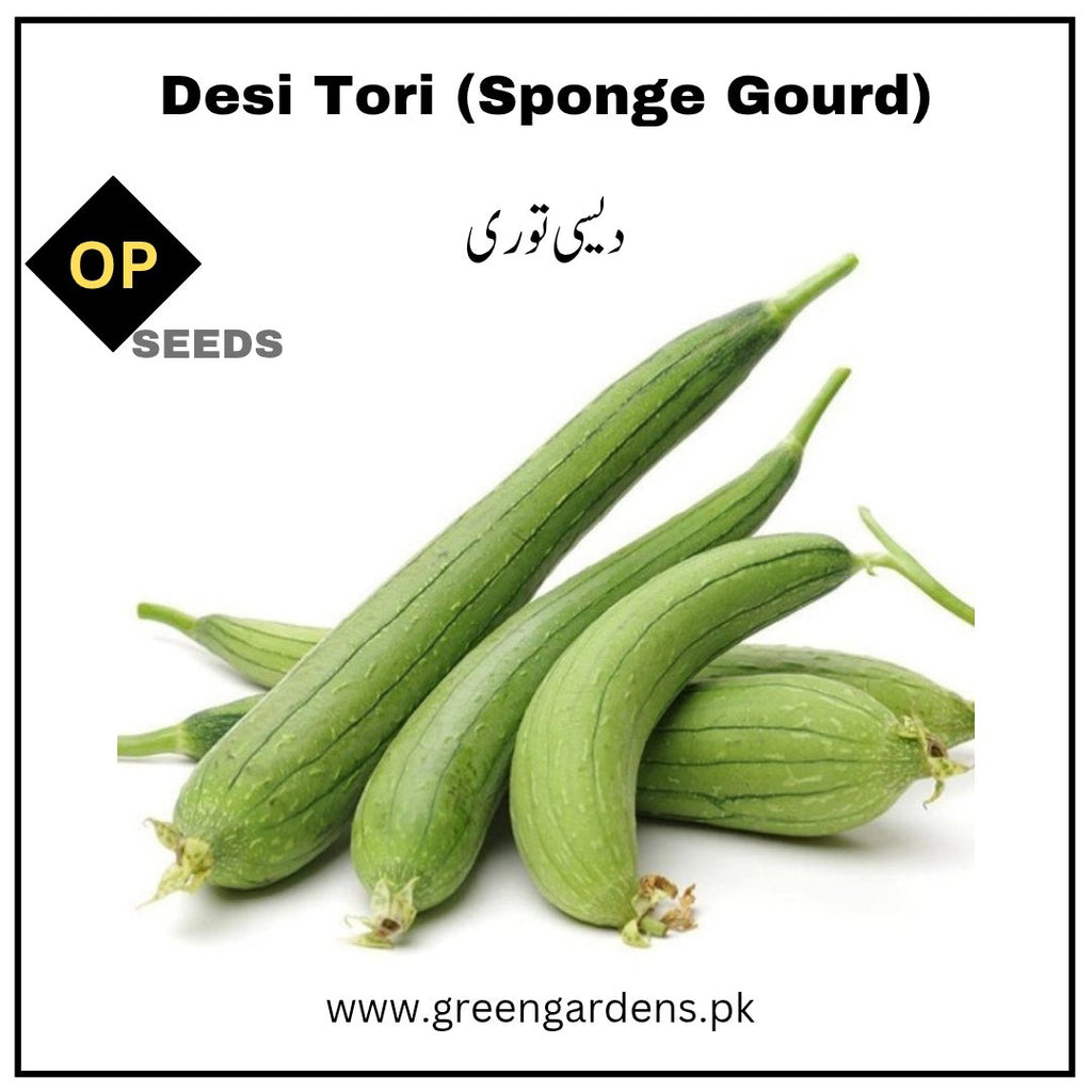 Desi Tori Seeds (Sponge Gourd) {SUMMER} دیسی توری