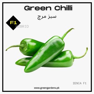 Green Chilli Seeds, F1 Hybrid (WINTER) سبز مرچ ہائیبرڈ