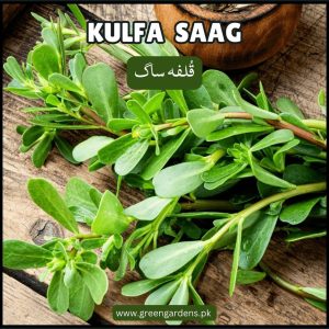 KULFA SAAG Seeds (Purslane) {SUMMER} قُلفہ ساگ