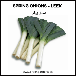Leek - Green Onion Seeds ( Spring Onion)ہرا پیاز