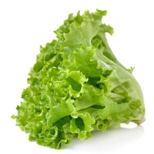 Lettuce Green (WINTER) / سلاد پتہ