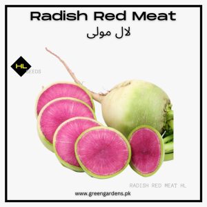 Radish Red Meat Seeds (WINTER) مولی ریڈ میٹ
