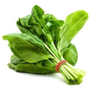 Spinach, F1 Hybrid (Broad Leaf) (WINTER/ SUMMER) پالک