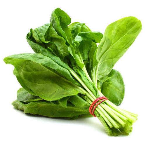 Spinach, F1 Hybrid (Broad Leaf) (WINTER/ SUMMER) پالک