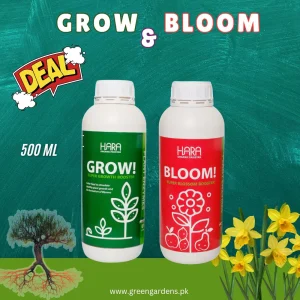 GROW & BLOOM Deal (500ml)